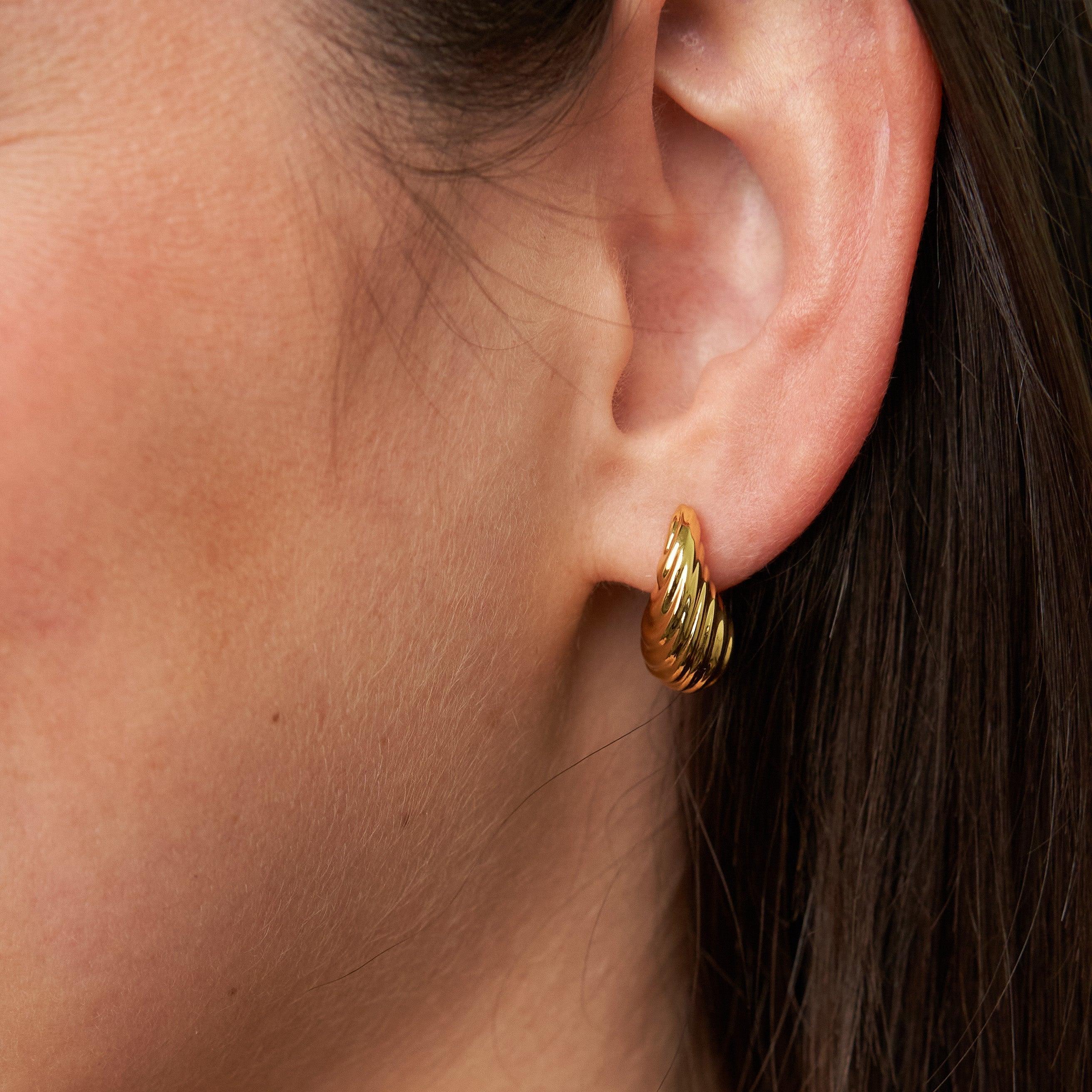 18K Gold Small Shell Earrings