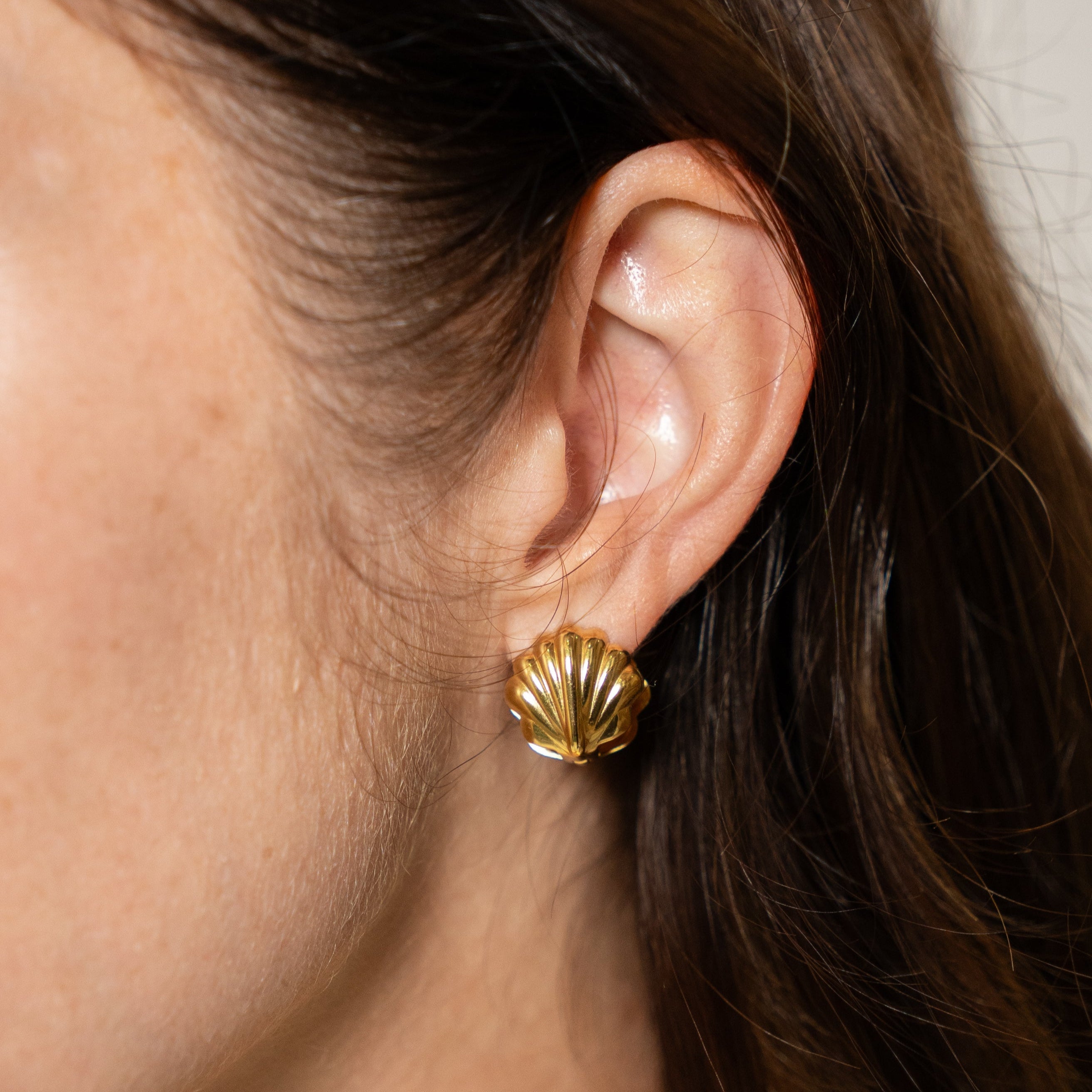 Waterproof Double Shell Earrings